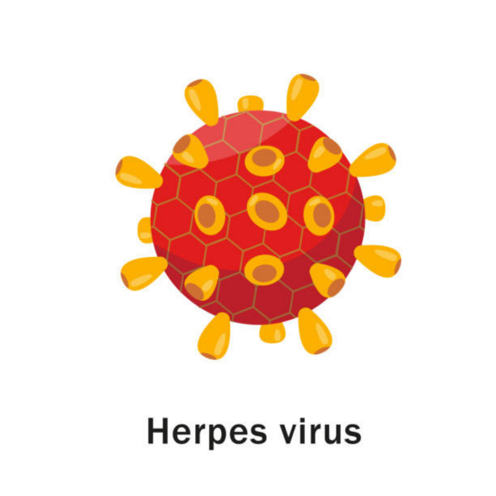 Gejala dan Rawatan Virus Herpes