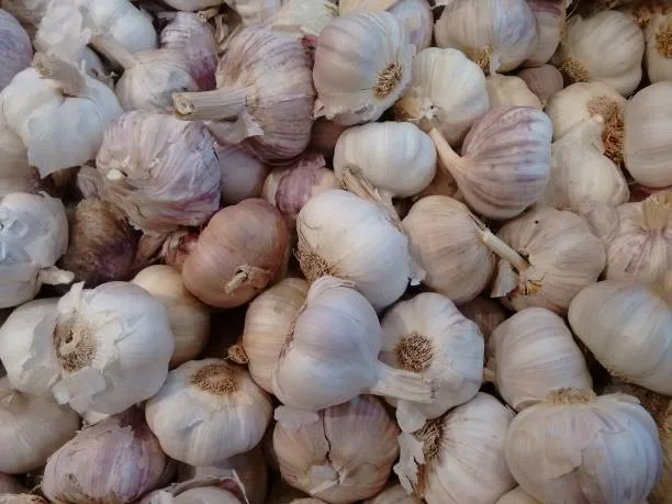 Petua Bahan Kisar Tahan Lama