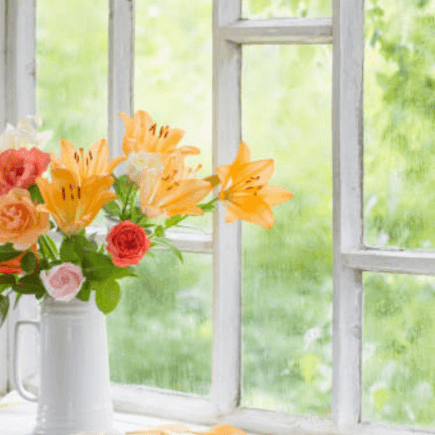 Jenis Bunga yang Berbau Harum